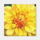 Search for horticulture magnets Yellow