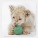 Search for white lions stickers Green