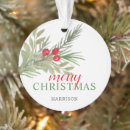 Search for chic christmas tree decorations Greenery
