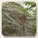 Search for colour image barware Nature