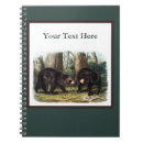 Search for ursus Forest
