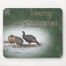 Search for wild turkey electronics Animal