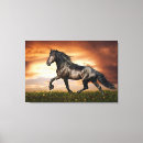 Search for black stallion canvas prints Animal