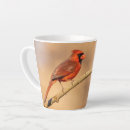 Search for northern red cardinal mugs Cardinals