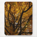 Search for autumn mousepads Yellow