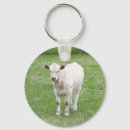 Search for calfs key rings Calves