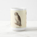 Search for owl picture mugs Illustration