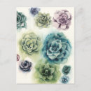 Search for purple green postcards Flowers