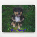 Search for puppy love mousepads Labrador