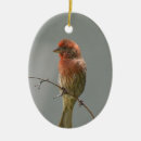 Search for gardens christmas tree decorations Birds