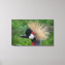 Search for cool birds art Unique