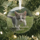 Search for kittens first christmas tree decorations Puppy