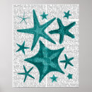 Search for starfish posters Animals