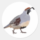 Search for quail stickers California