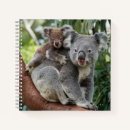 Search for koala notebooks Baby