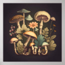 Search for vintage mushrooms posters Fungi