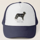 Search for border collie hats Herding