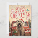 Search for wheaten terrier christmas cards Soft