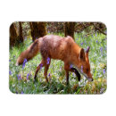 Search for tray magnets Birthday