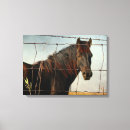 Search for abstract horse canvas prints Equine