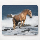 Search for leaping mousepads Sea