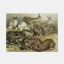 Search for bunny rabbit doormats Easter