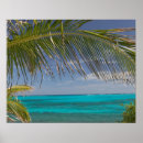 Search for cay posters Vacation