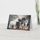 Search for gypsy vanner horse White