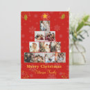 Search for photo christmas invitations Winter