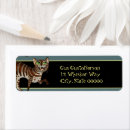 Search for kitty return address labels Pet