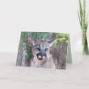 Search for lion and cub cards Wild animal