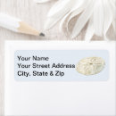 Search for dollar return address labels Sand