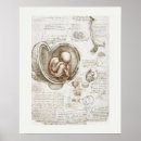 Search for da vinci drawings posters Vintage