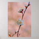 Search for attracts posters Floral
