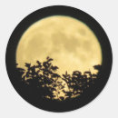 Search for harvest moon stickers Spooky
