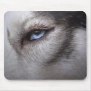 Search for adopting mousepads Rescue
