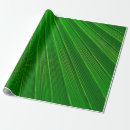 Search for leaf wrapping paper Palm