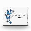 Search for photo of butterfly Butterflies