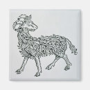 Search for rams magnets School