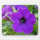 Search for petunias mousepads Flowers