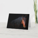 Search for portrait cards Animal