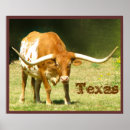 Search for longhorn posters Western