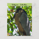 Search for bills postcards Animal