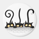 Search for playful magnets Cats