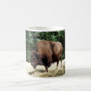 Search for bison mugs Animals