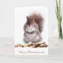 Search for nut with squirrel cards Winter