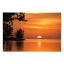 Search for key art Palm trees