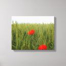 Search for poppy canvas prints Green