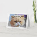 Search for resolutions cards Feline