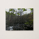 Search for pigeon puzzles River